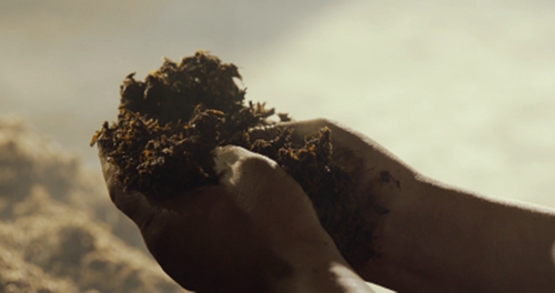 letou����������(�й���)�ٷ���վ