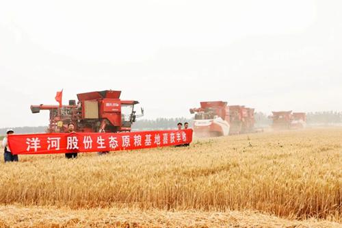 letou����������(�й���)�ٷ���վ