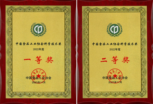 letou����������(�й���)�ٷ���վ